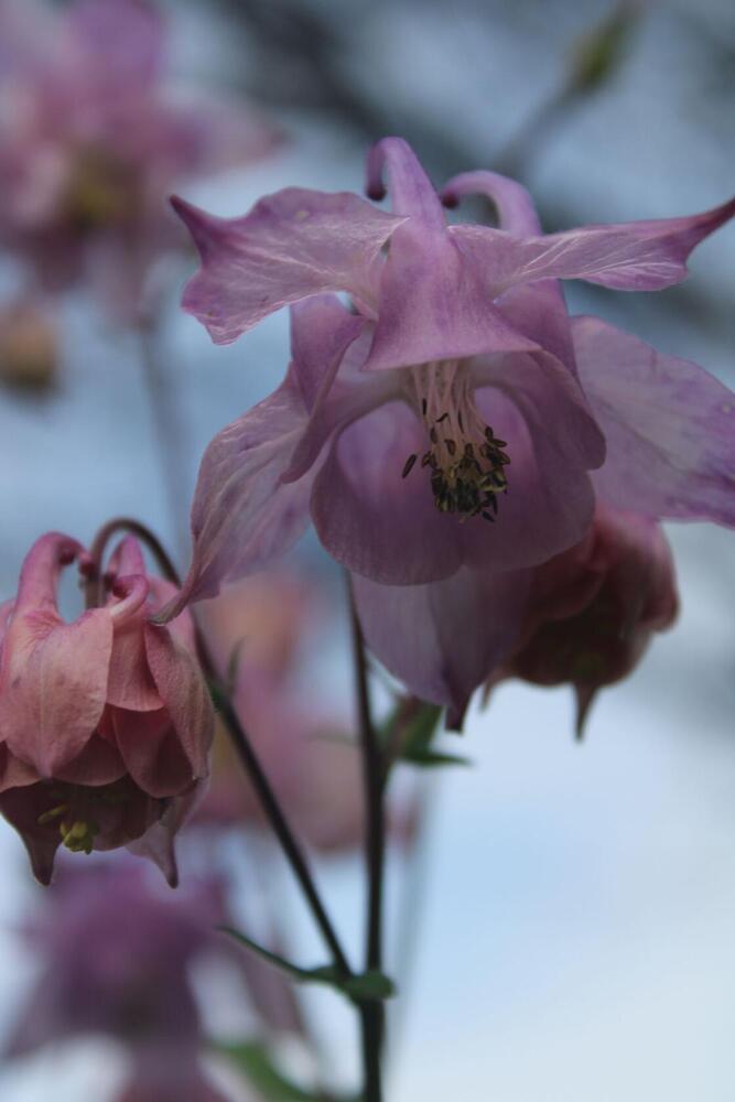 Photograph by Юлия Чурина