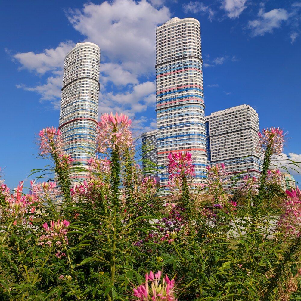 Photograph by Елена Казарина