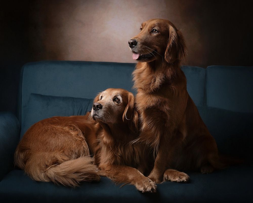 Photograph by Sara Sullivan Peccianti