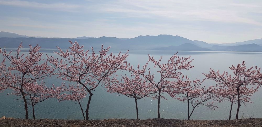 Photograph by fuat cimok