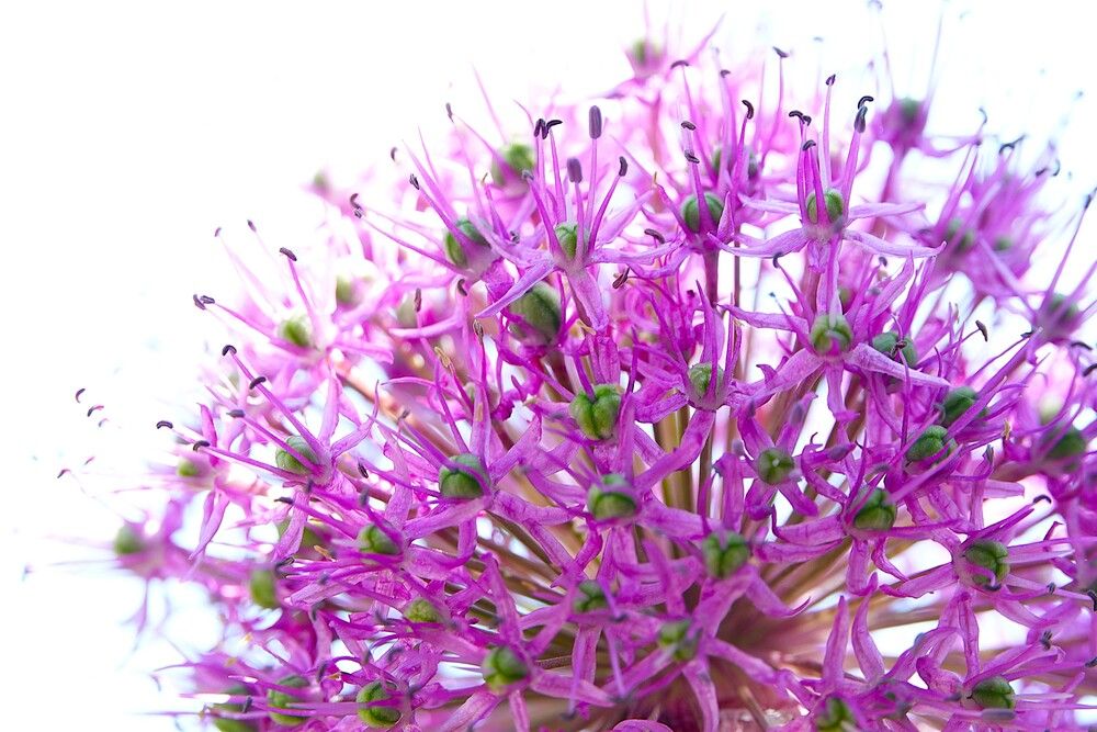 Photograph by Zakharov Matvey