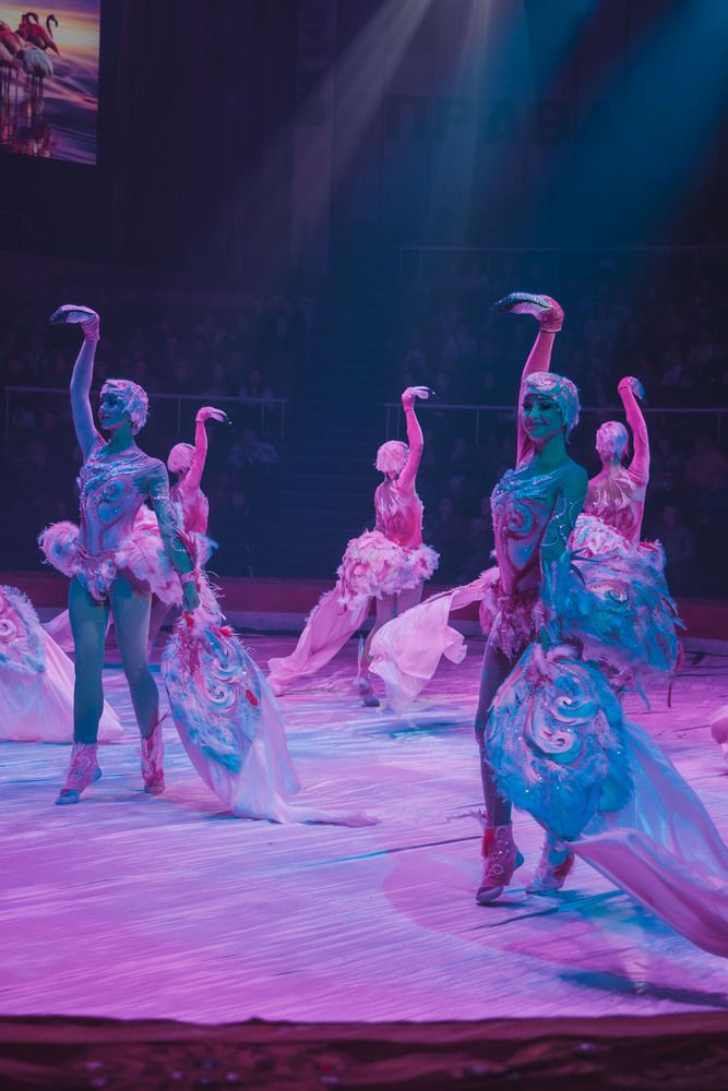 Photograph by Ольга Широкова