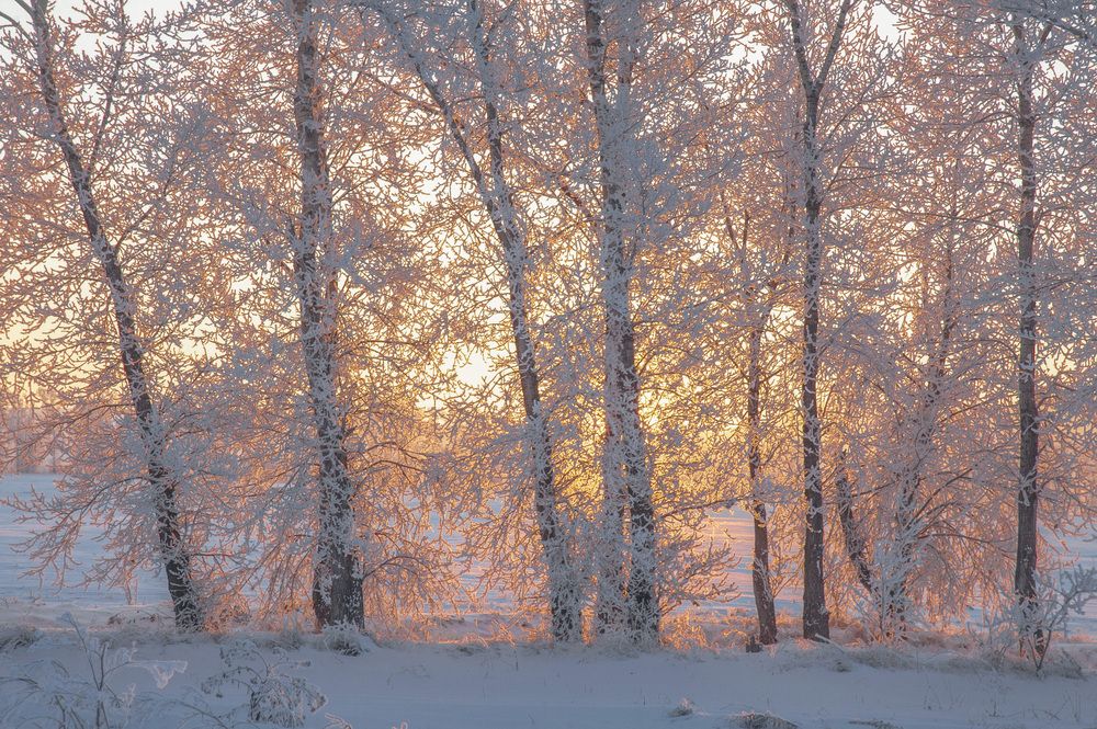 Photograph by Юрий Кухаришин