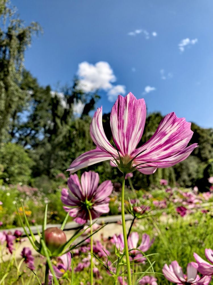 Photograph by Елена