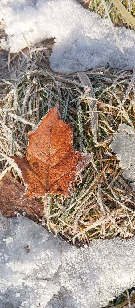 Photo #12851376