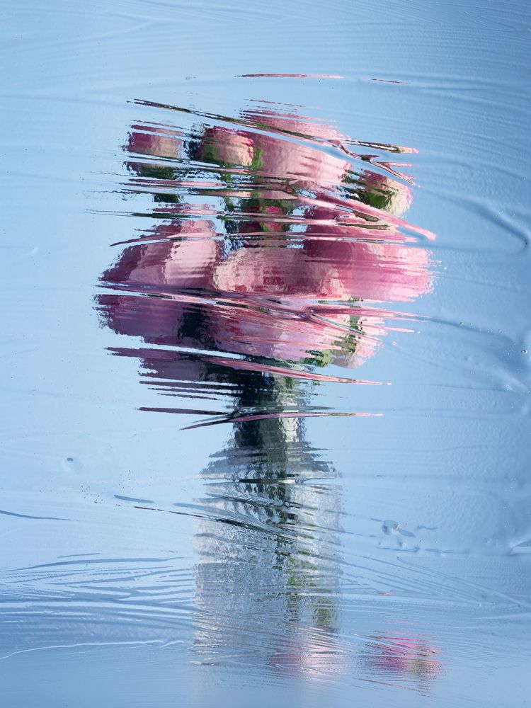 Photograph by Наталья Egoza