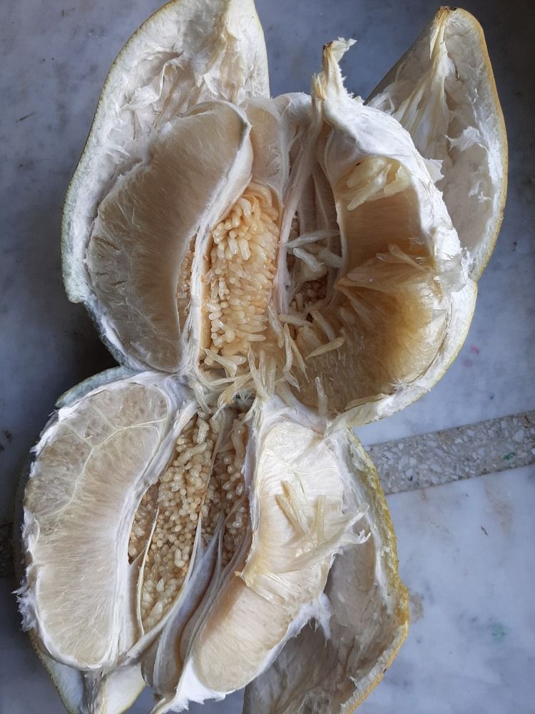 Фотография автора Anna Eme