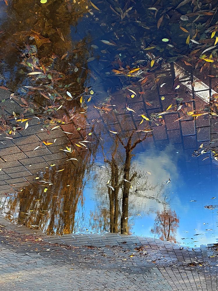 Фотография автора Нестеренко Светлана