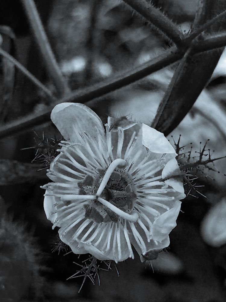 Photograph by MARIUS AKPONA