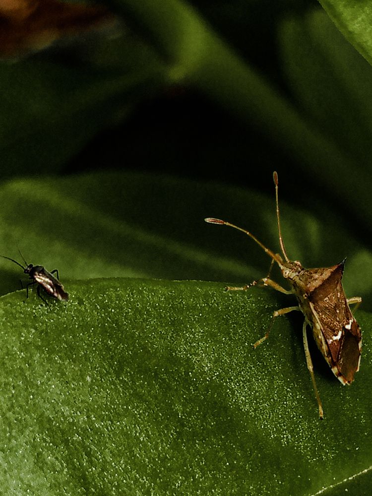 Photograph by MARIUS AKPONA