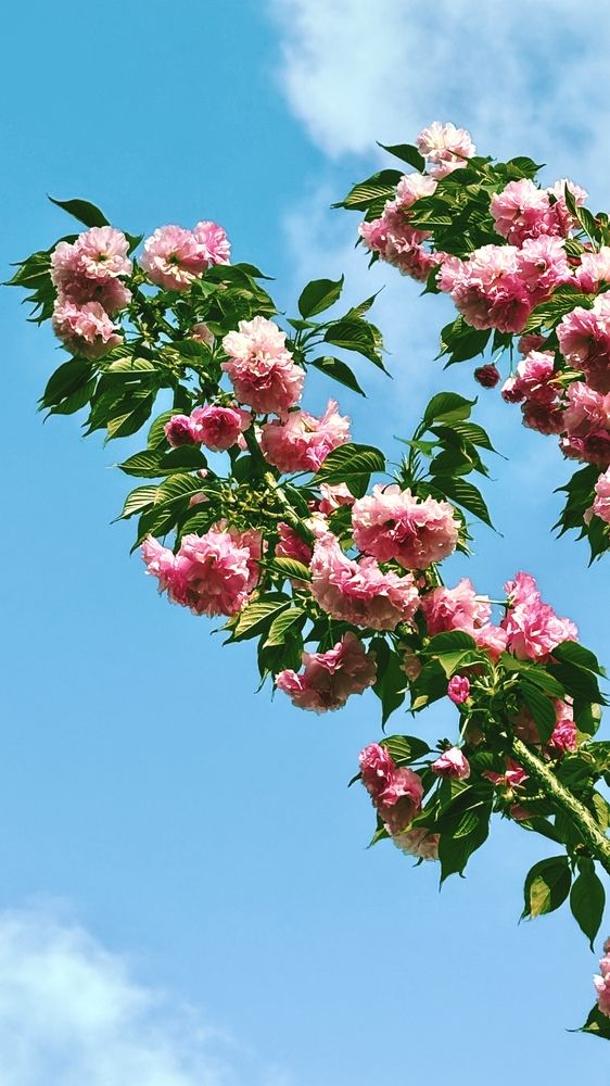 Photograph by Елена Громова