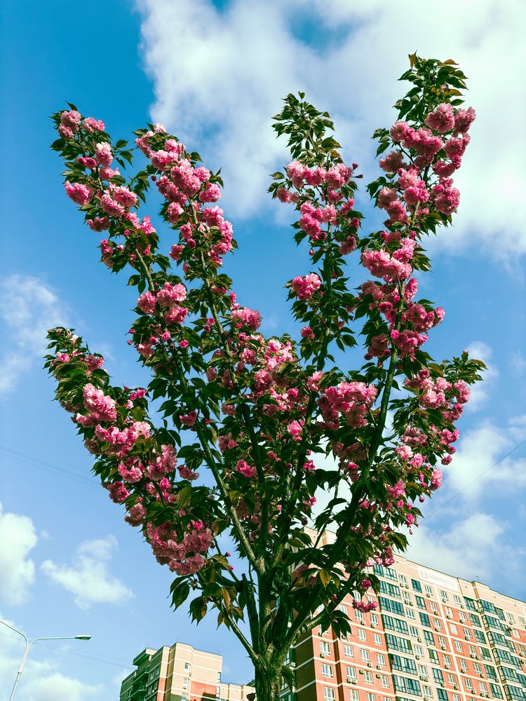 Photograph by Елена Громова