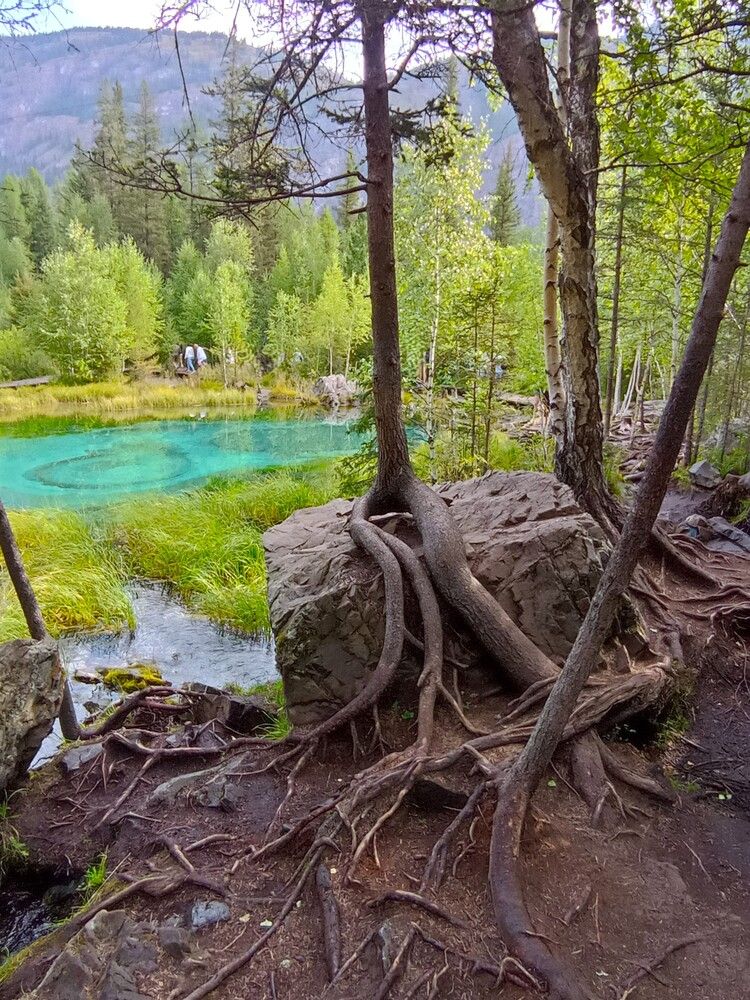 Photograph by Ирина Орлова