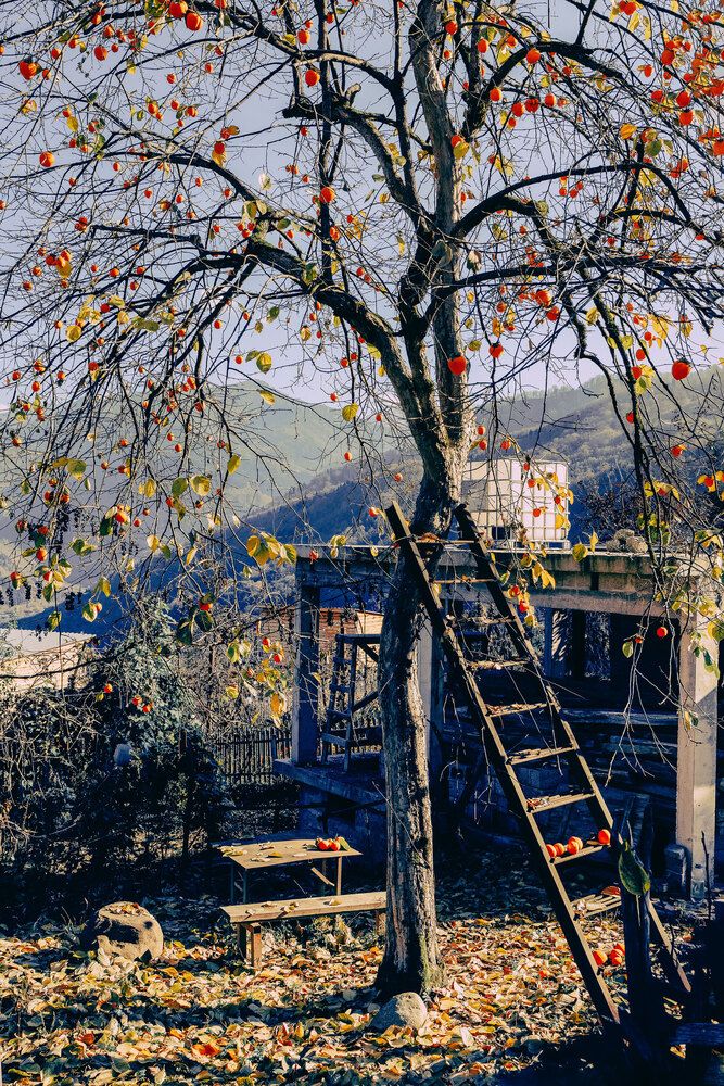 Photograph by Екатерина Кваша
