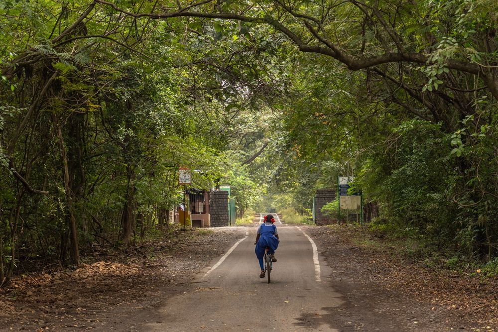 Photograph by Антон Огородов