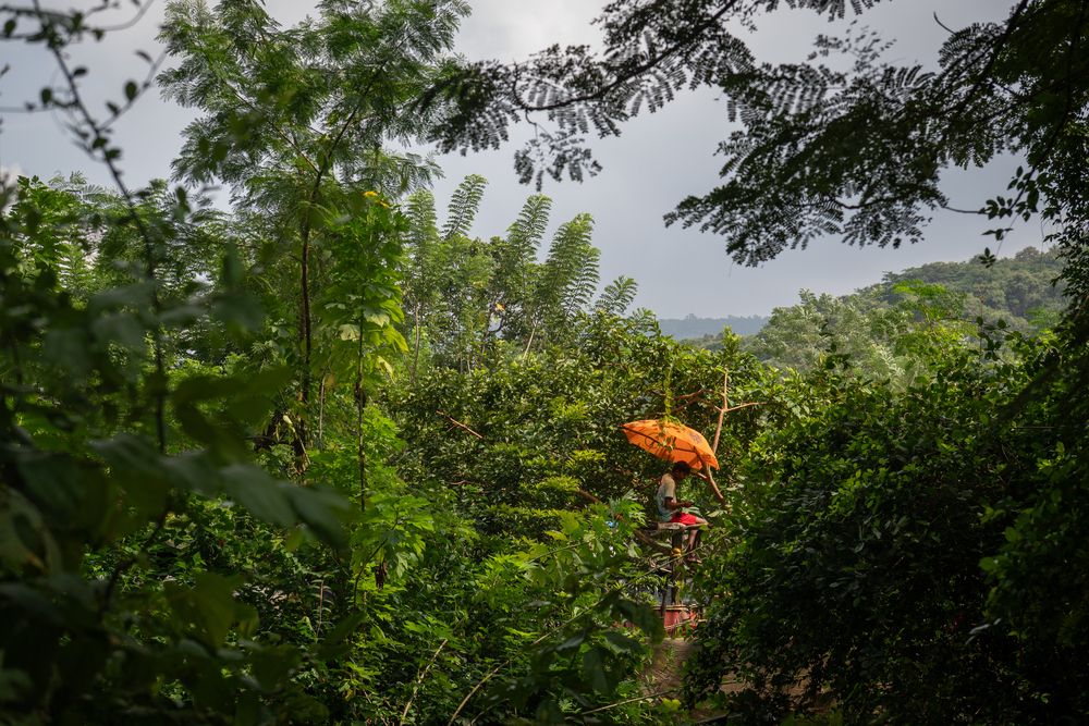 Photograph by Антон Огородов