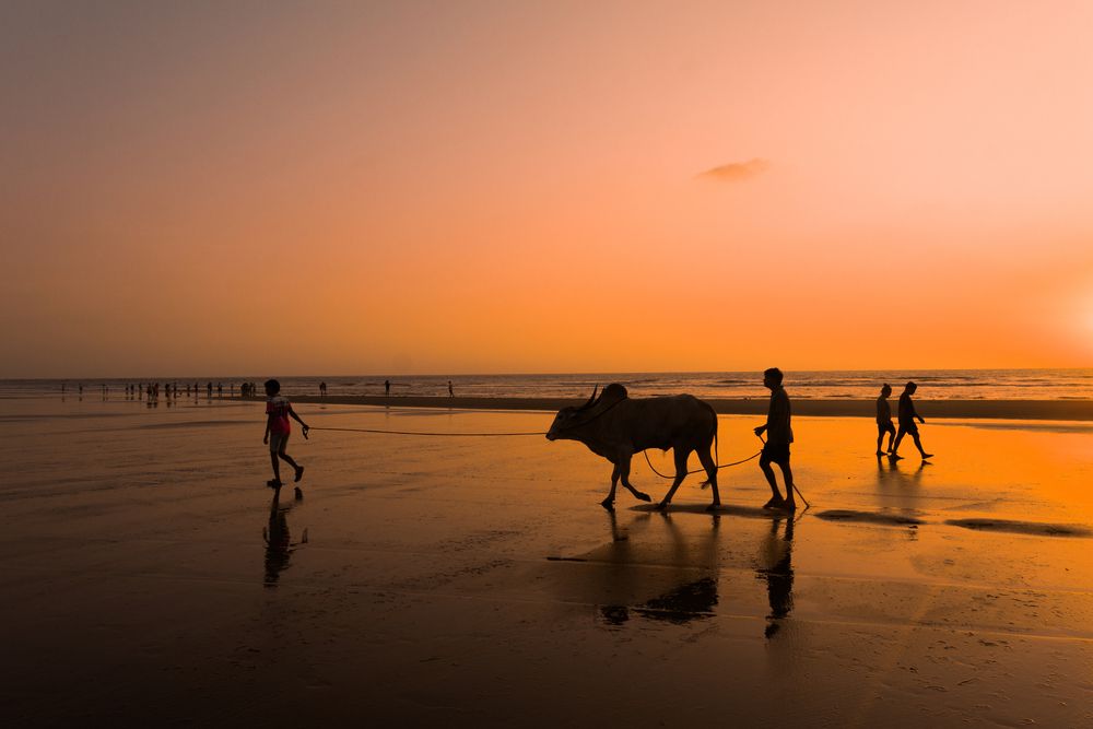 Photograph by Антон Огородов