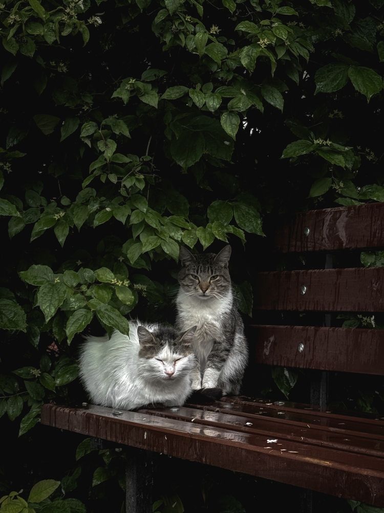 Photograph by Ольга Прищепова