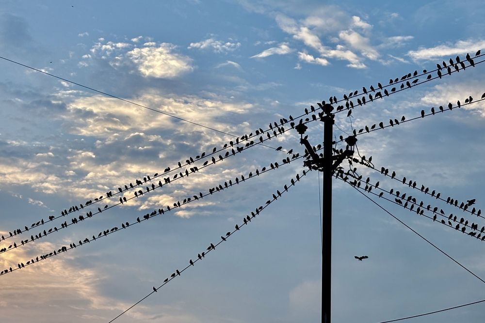 Photograph by BIPLAB MISRA
