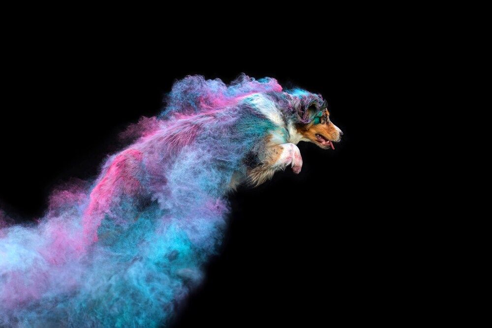 Photograph by Екатерина Киреева