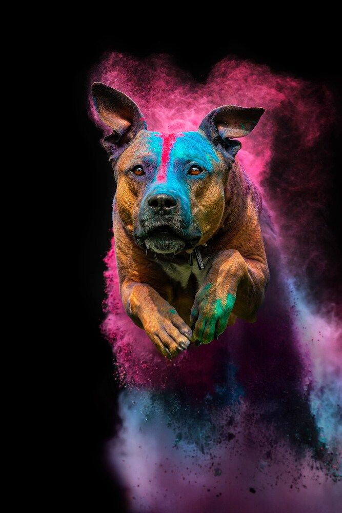 Photograph by Екатерина Киреева