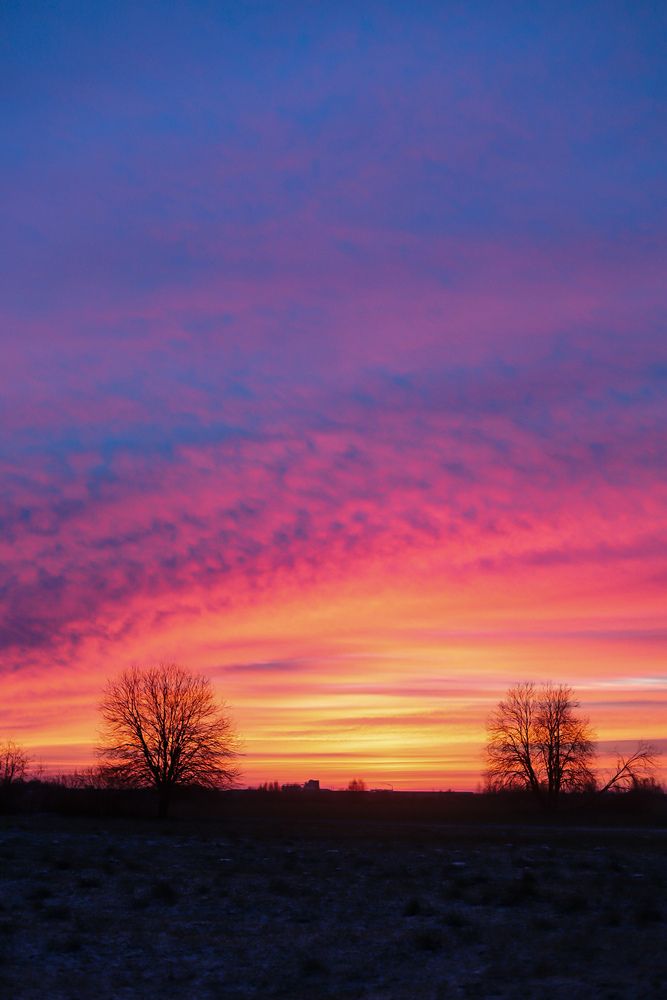 Photograph by Руслана Ковалевская