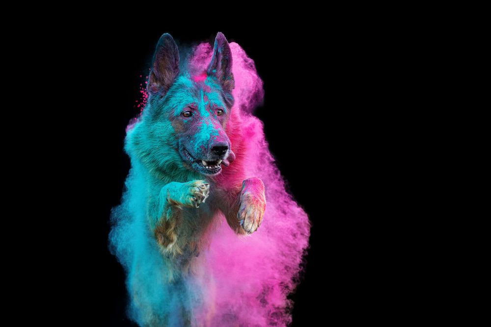 Photograph by Екатерина Киреева