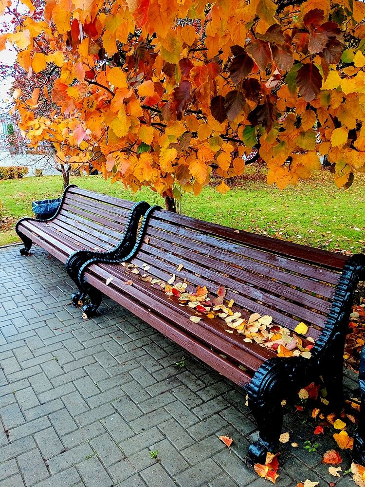 Photograph by Марина Ткаченко