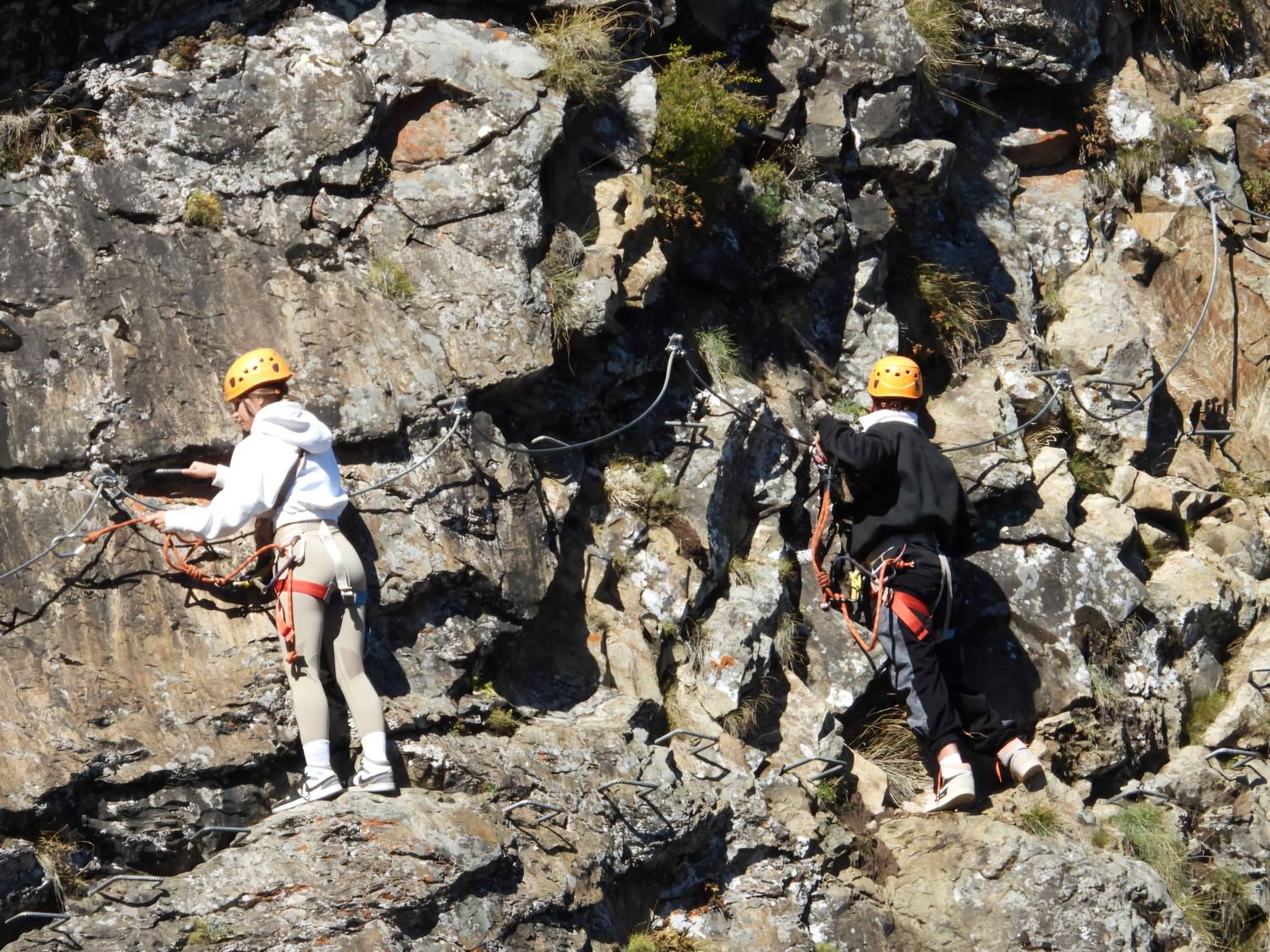 Photo #12851834