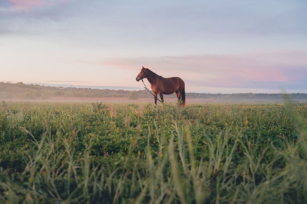Фотография автора Сухенко Олег