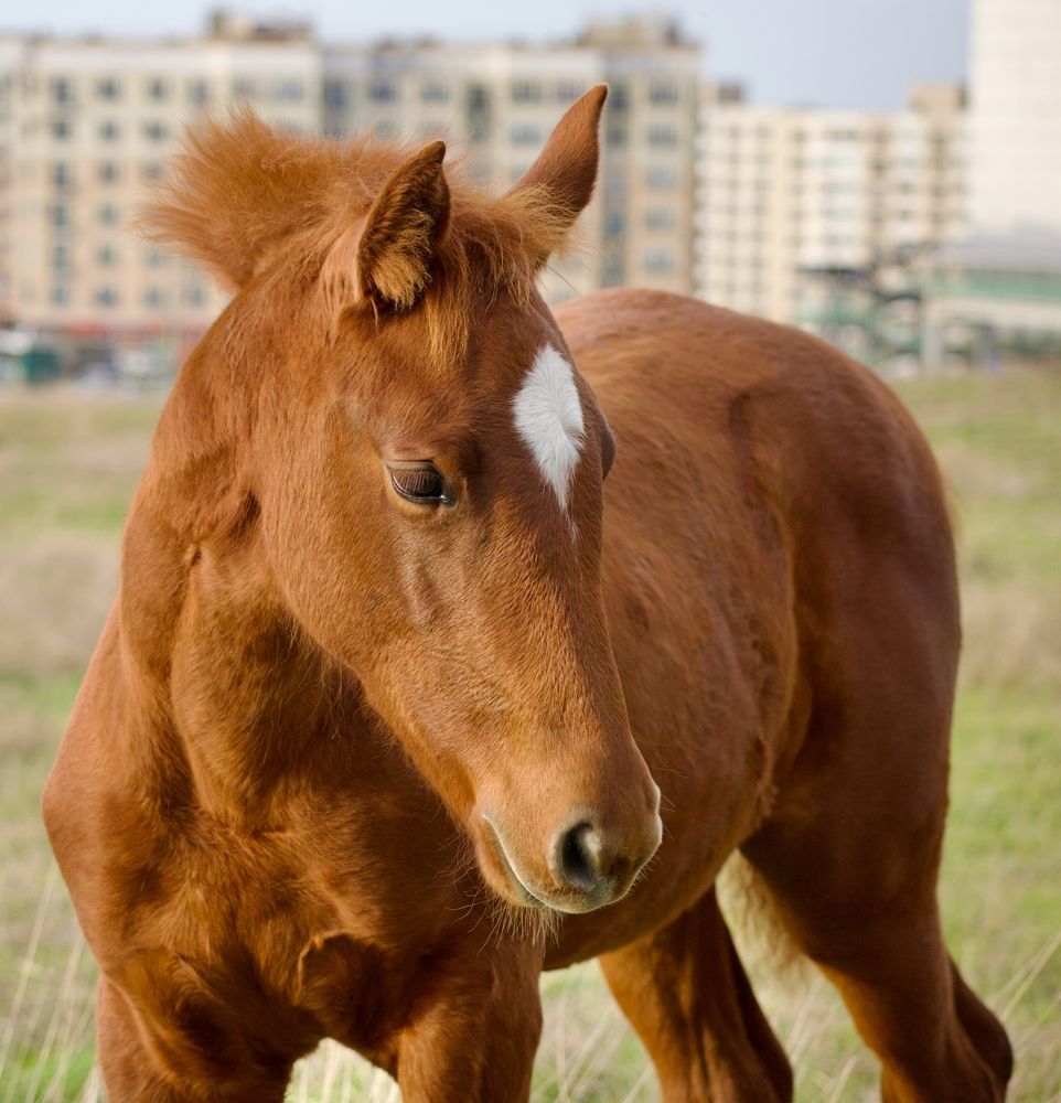 Photograph by Борис Захаров