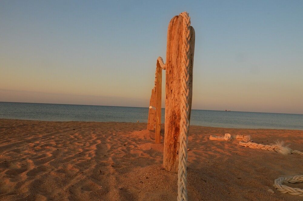 Photograph by Ольга Шевцова