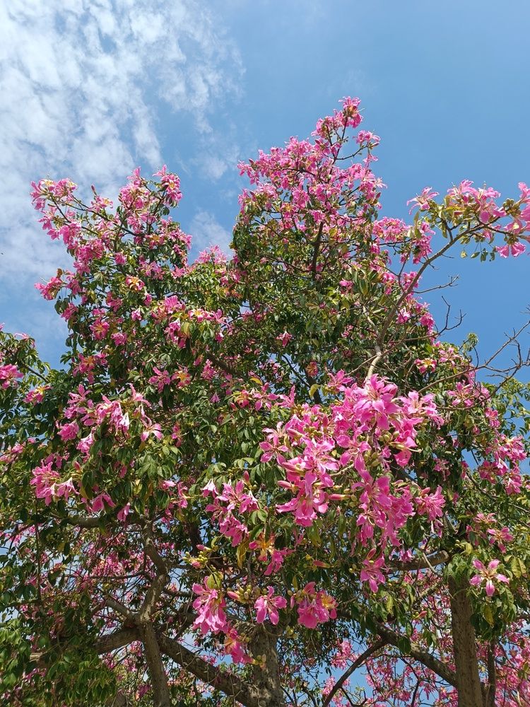 Photograph by Елена Пархоменко