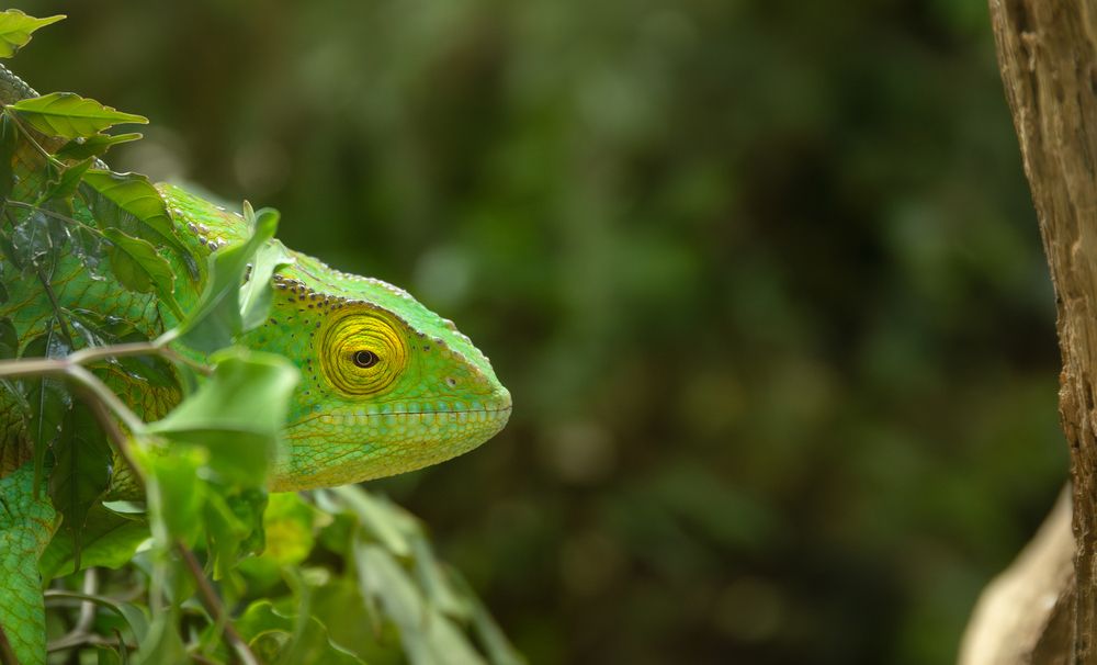 Photograph by Alexander Pakhomov