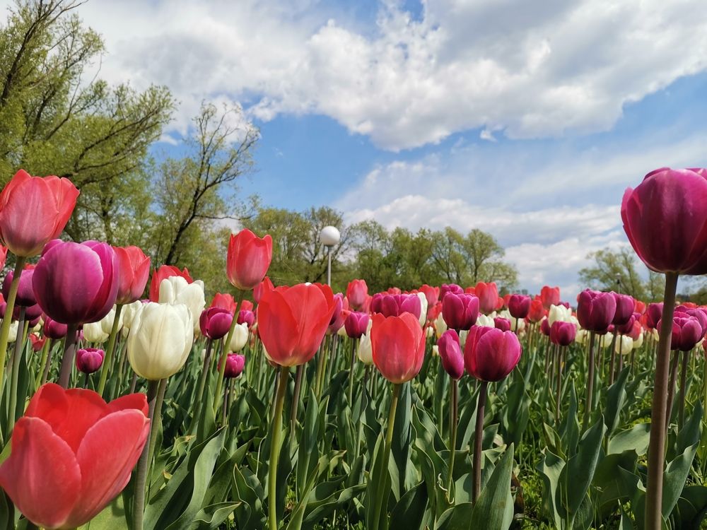 Photograph by Ксения Мироненко