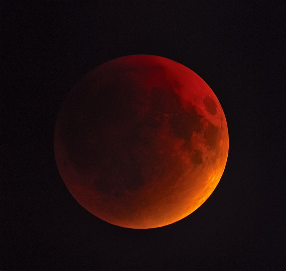 Photograph by Владимир Портуаров