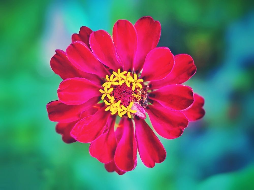 Photograph by Ekaterina Fadeeva