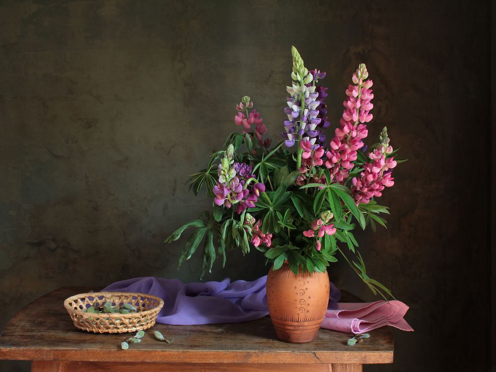 Фотография автора Ганина Галина