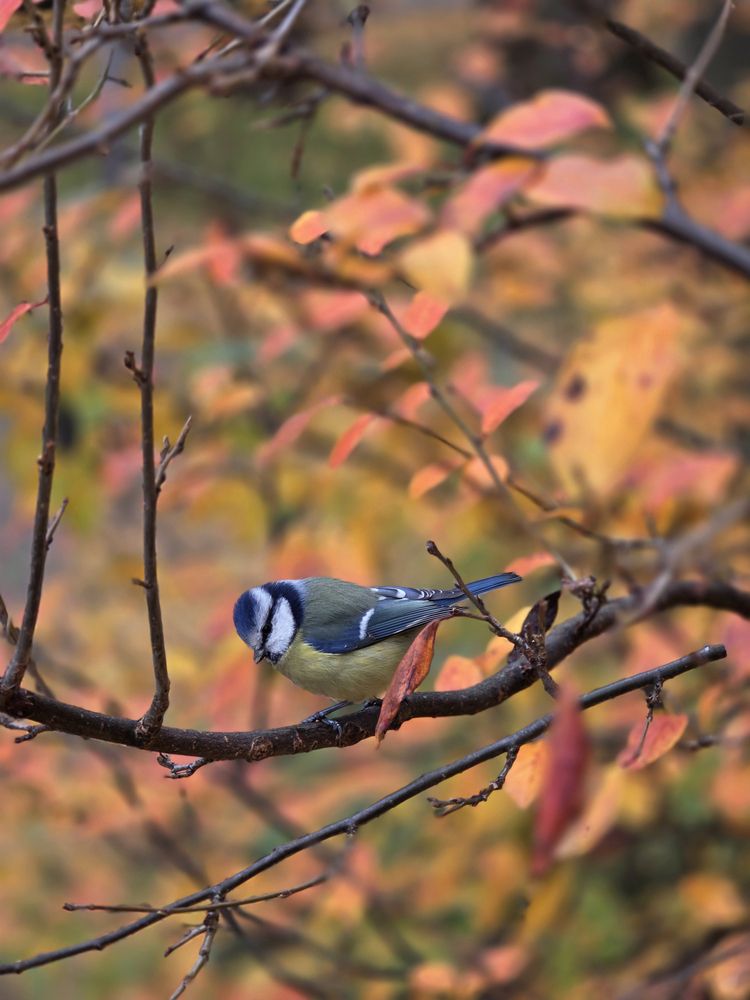 Photograph by Ирина Муравьева