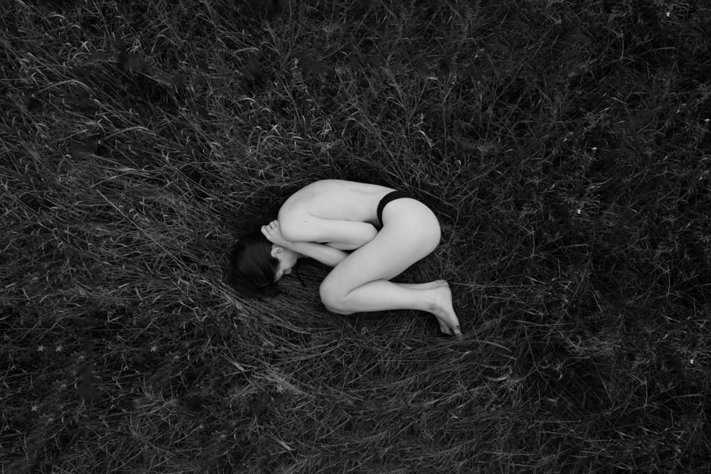 Shelter