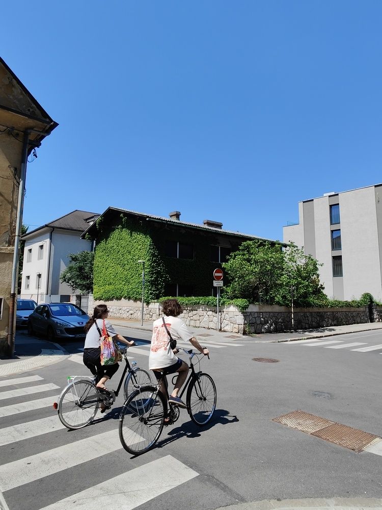 Фотография автора Александр Воробьев