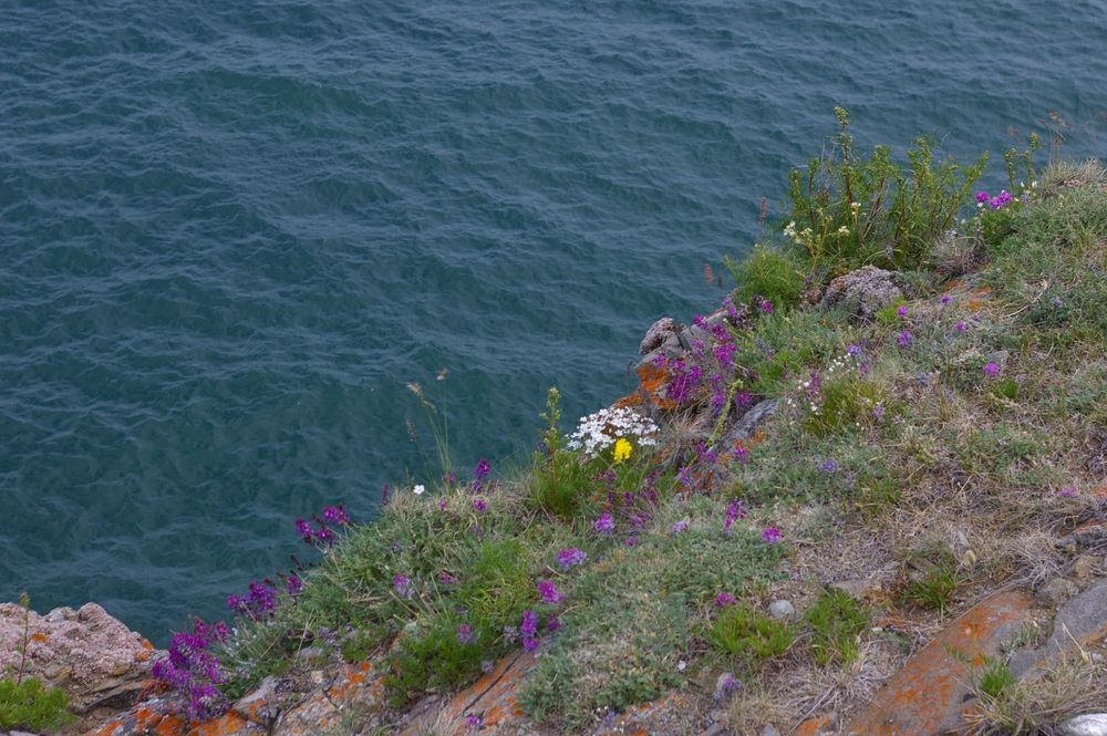 Photograph by Елена Алешкевич