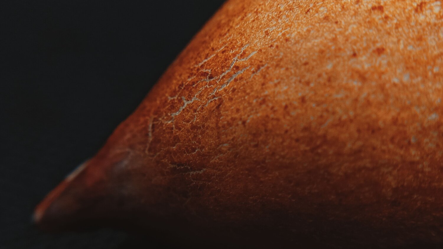 Photo #12852645