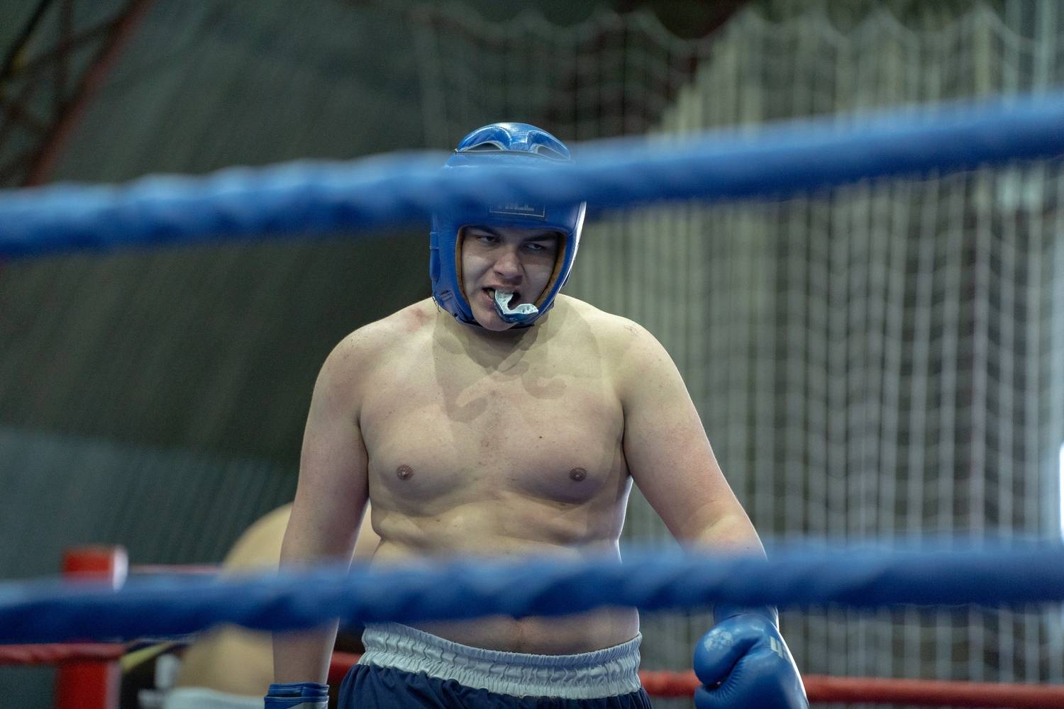 Фотография #12852646