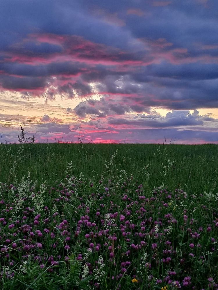 Photograph by Tatyana Busorgina