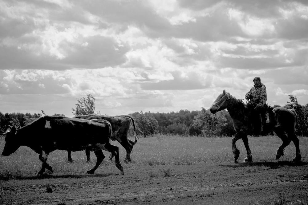 Photograph by BorzIN