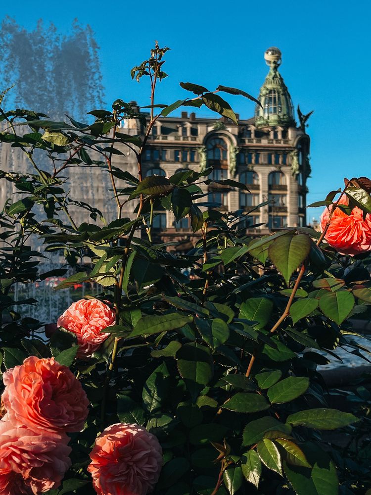 Photograph by Регина Габдулхаева