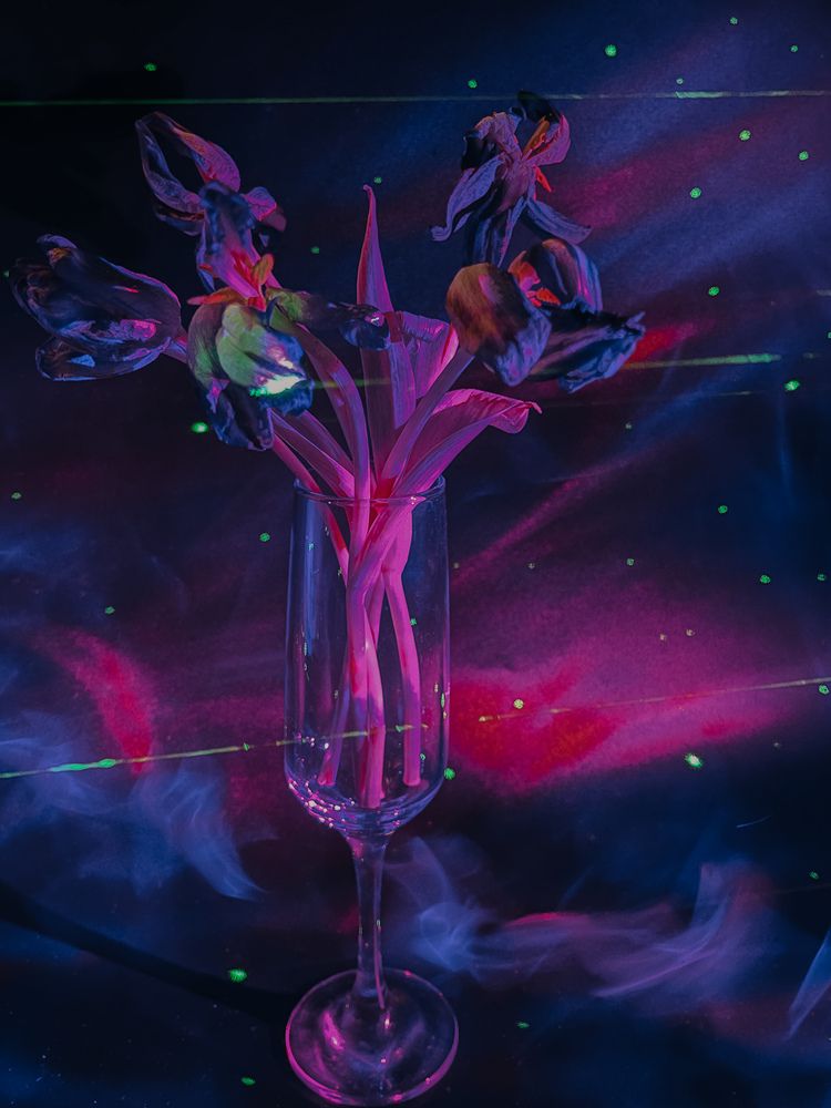 Photograph by Регина Габдулхаева