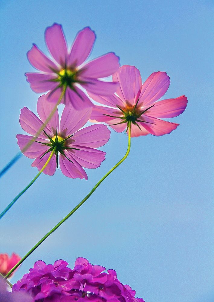 Photograph by Виталий Симоненков