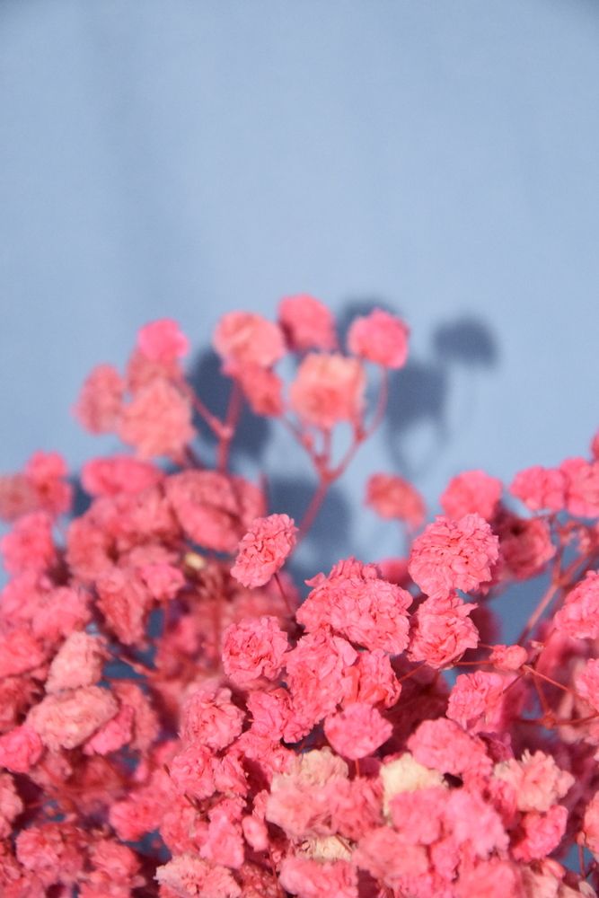 Photograph by Юлия Финогенова